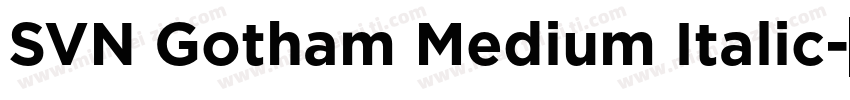 SVN Gotham Medium Italic字体转换